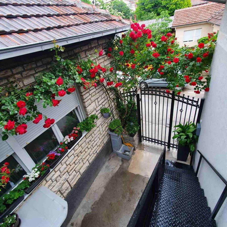Fortress Apartments Ni المظهر الخارجي الصورة