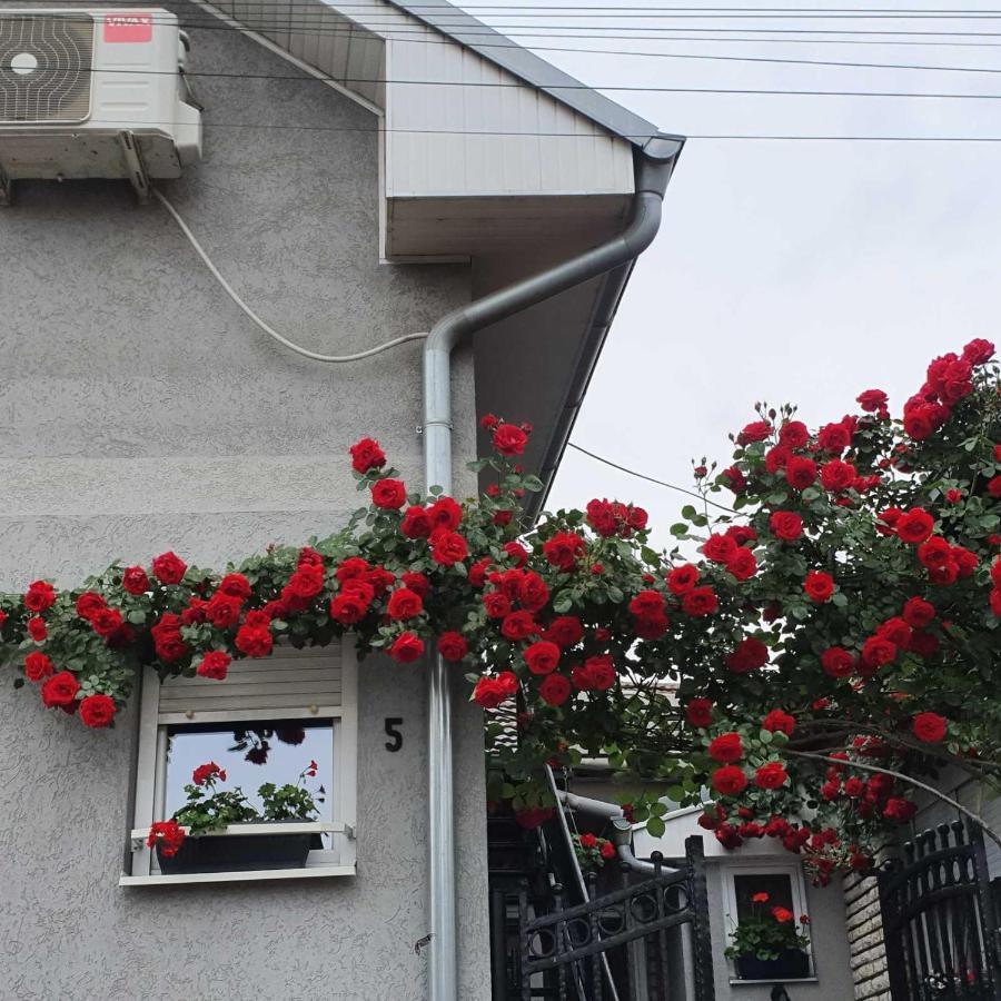 Fortress Apartments Ni المظهر الخارجي الصورة