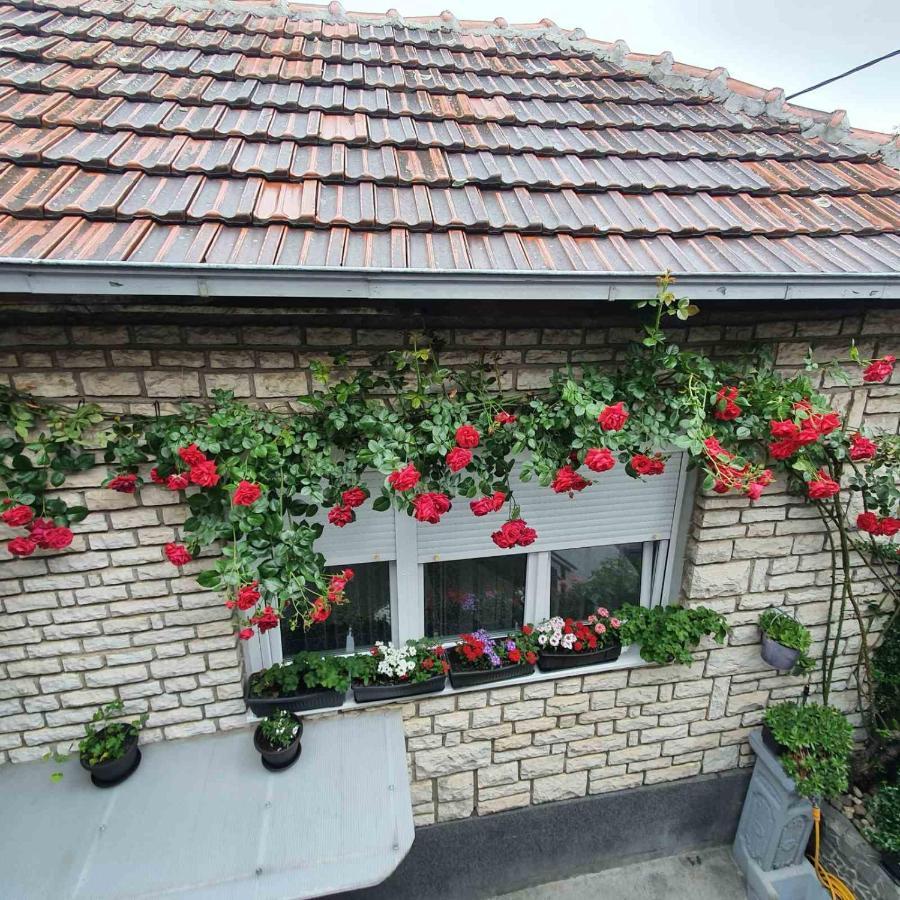 Fortress Apartments Ni المظهر الخارجي الصورة